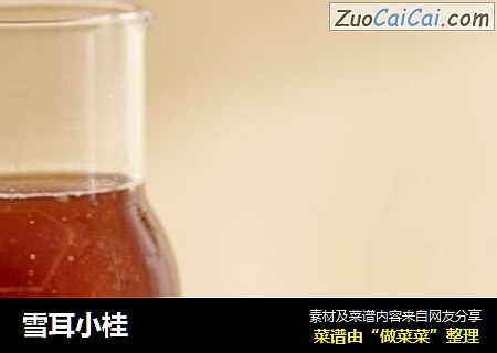 雪耳小桂