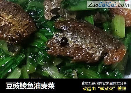 豆豉鲮鱼油麦菜