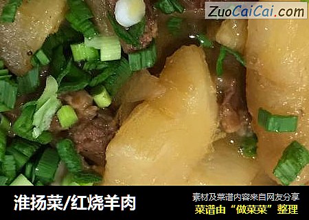淮扬菜/红烧羊肉
