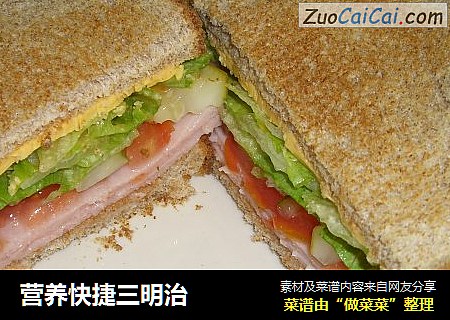 营养快捷三明治