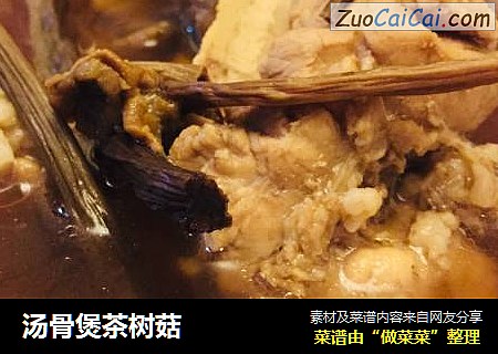 汤骨煲茶树菇