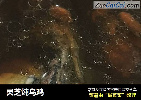 灵芝炖乌鸡