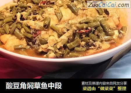 酸豆角焖草鱼中段