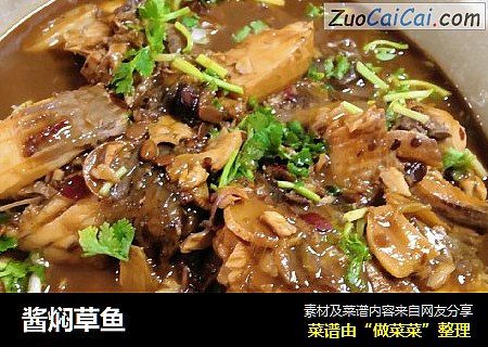 酱焖草鱼