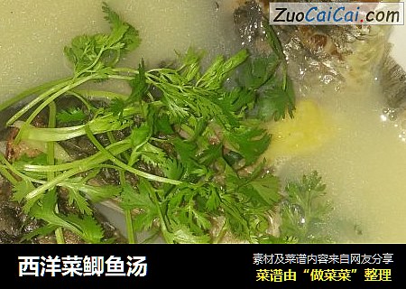 西洋菜鲫鱼汤