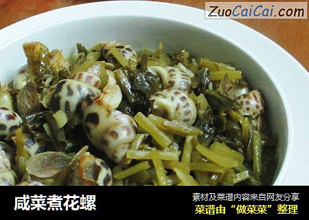 咸菜煮花螺