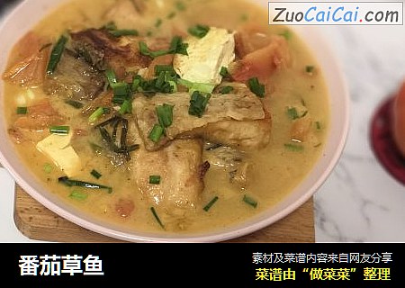 番茄草鱼