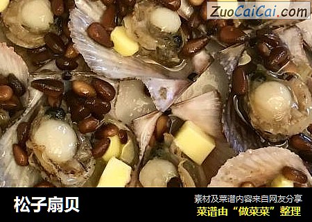 松子扇贝