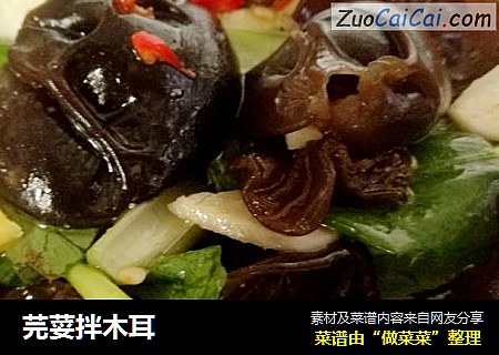 芫荽拌木耳