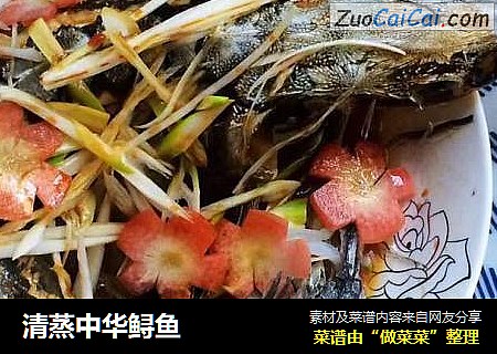 清蒸中华鲟鱼