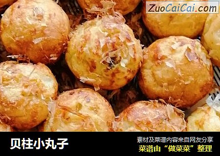 贝柱小丸子