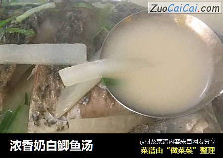浓香奶白鲫鱼汤
