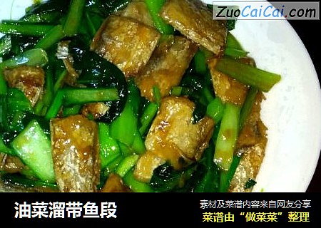 油菜溜带鱼段