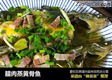 腊肉蒸黄骨鱼