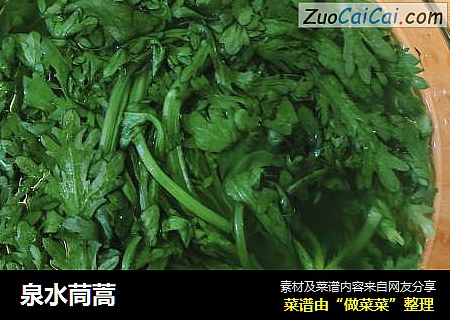 泉水茼蒿
