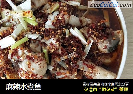 麻辣水煮鱼