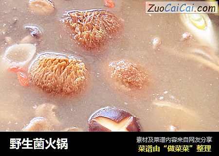 野生菌火锅