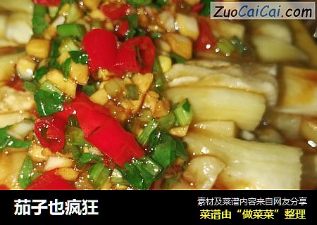 茄子也疯狂