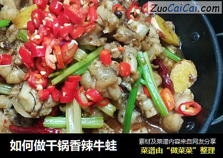 如何做干锅香辣牛蛙