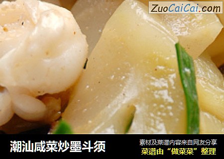 潮汕咸菜炒墨斗须