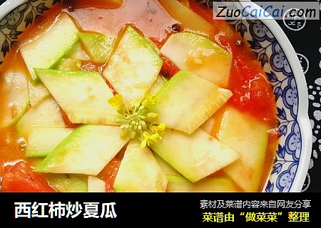 西红柿炒夏瓜