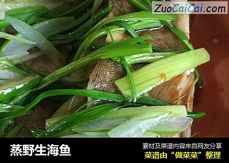 蒸野生海鱼