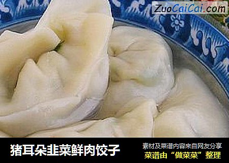 猪耳朵韭菜鲜肉饺子