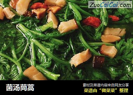 菌汤茼蒿