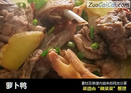 萝卜鸭