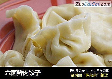 六菌鲜肉饺子
