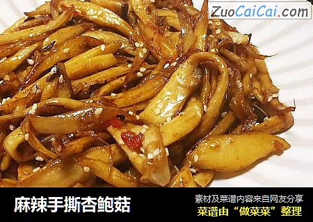 麻辣手撕杏鲍菇