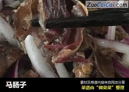 马肠子