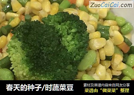 春天的种子/时蔬菜豆