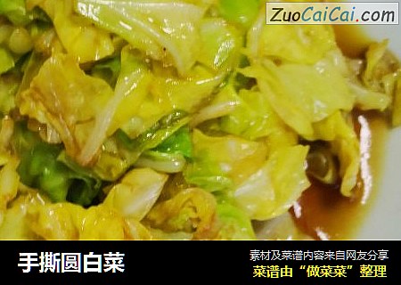 手撕圆白菜