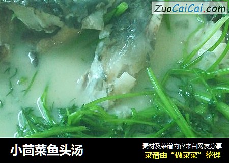 小茴菜鱼头汤