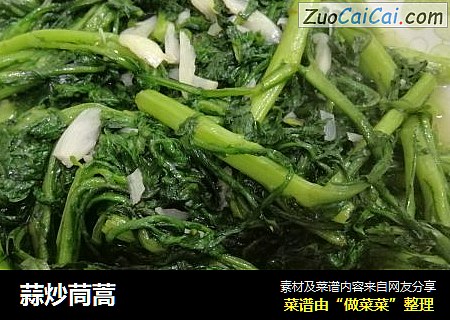 蒜炒茼蒿