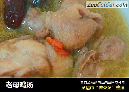 老母鸡汤