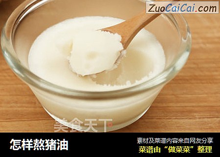 怎样熬猪油