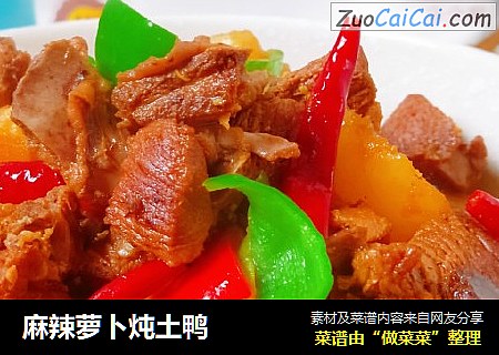 麻辣萝卜炖土鸭