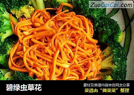碧绿虫草花