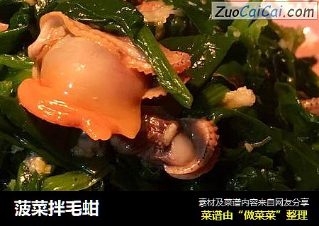 菠菜拌毛蚶