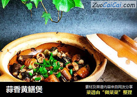蒜香黄鳝煲