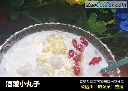 酒酿小丸子