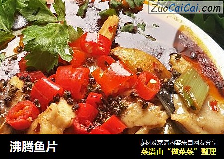 沸腾鱼片