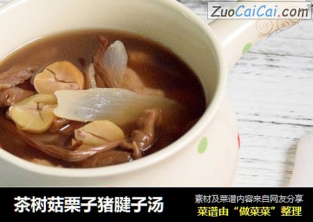 茶树菇栗子猪腱子汤