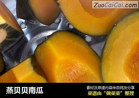 蒸贝贝南瓜