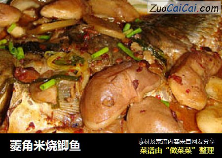 菱角米烧鲫鱼