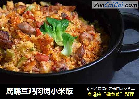 鹰嘴豆鸡肉焗小米饭