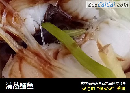 清蒸鳕鱼