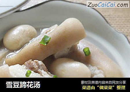 雪豆蹄花汤
